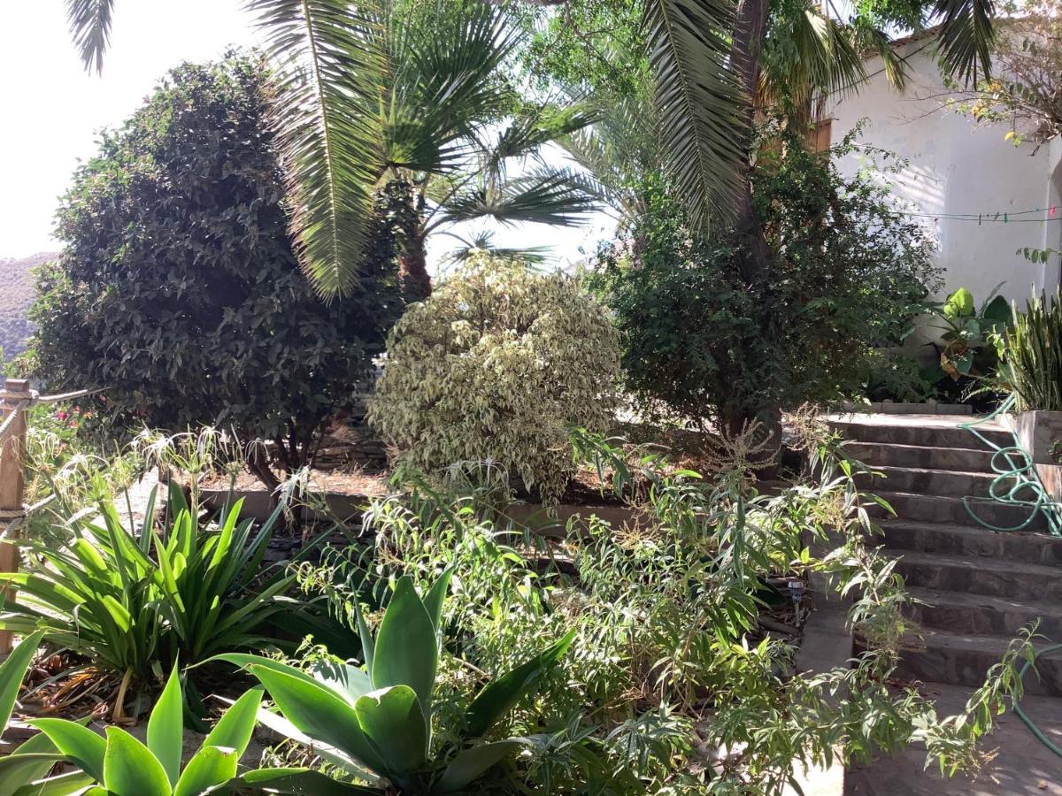 Cortijo De La Fuente Apartment Albunol Bagian luar foto